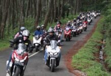 Rekomendasi Motor Matic Buat Turing