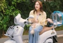 Fazzio Hybrid Gaya Zee: Modif Unik Buat Kamu yang Suka Kucing dan Gaya Kalcer